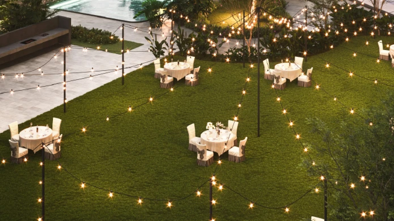 Festive Lawn